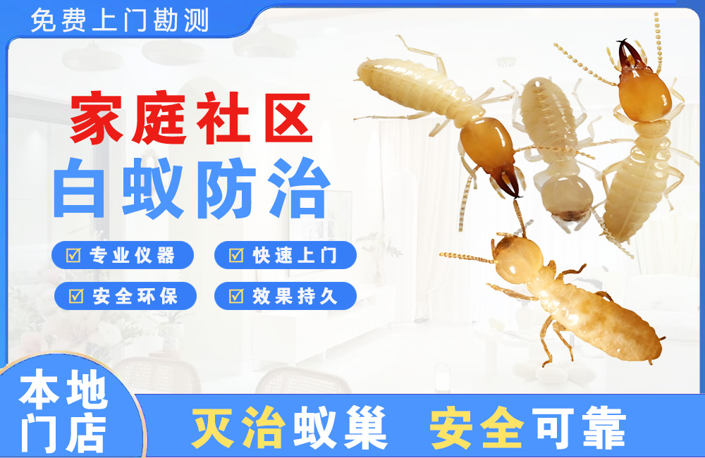 南康家庭社区白蚁防治