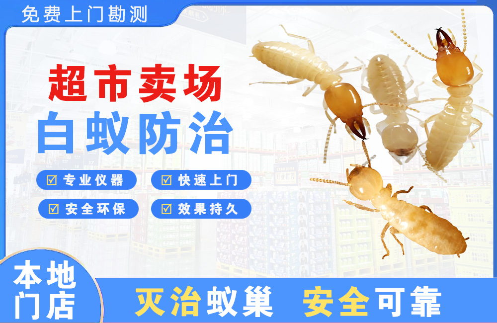南康超市卖场白蚁防治