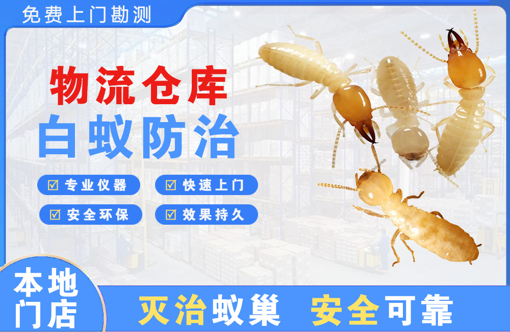 南康物流仓库白蚁防治