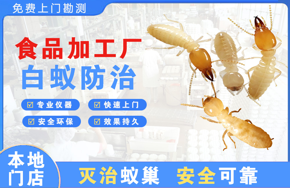 南康食品加工厂白蚁防治