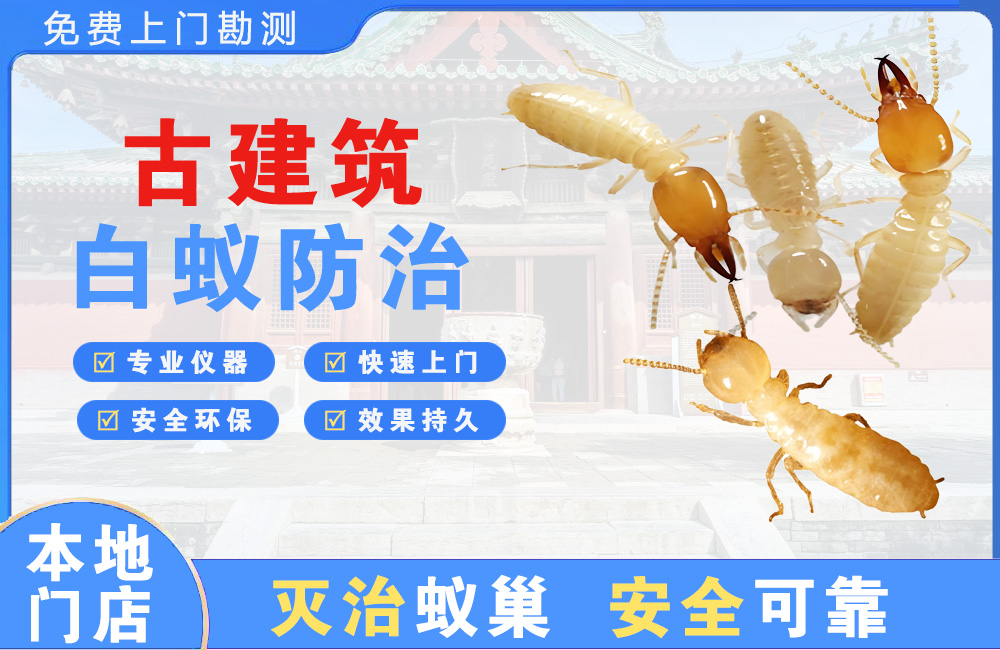 南康古建筑白蚁防治