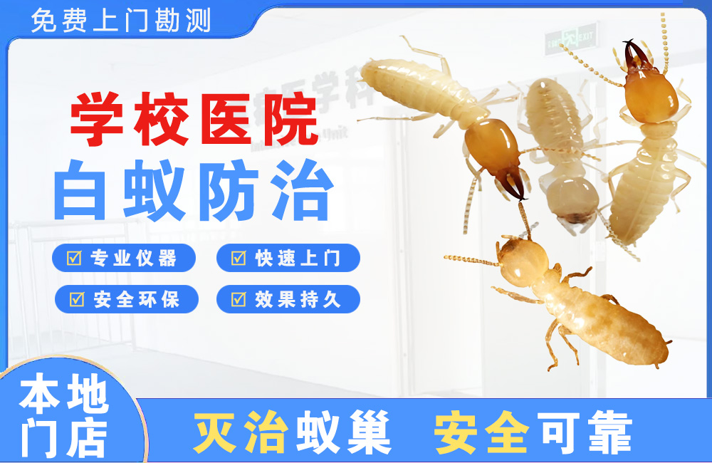 南康学校医院白蚁防治