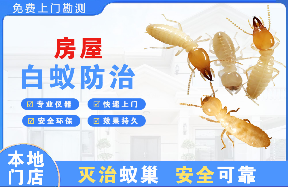南康房屋白蚁防治