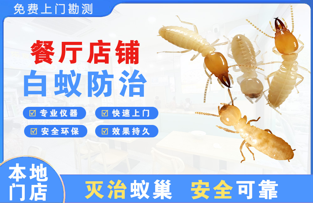 南康餐厅店铺白蚁防治